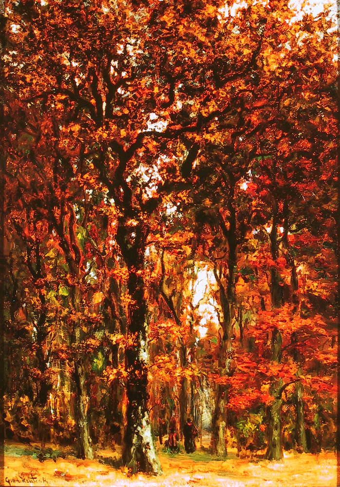 Het sterrenbos in de herfst