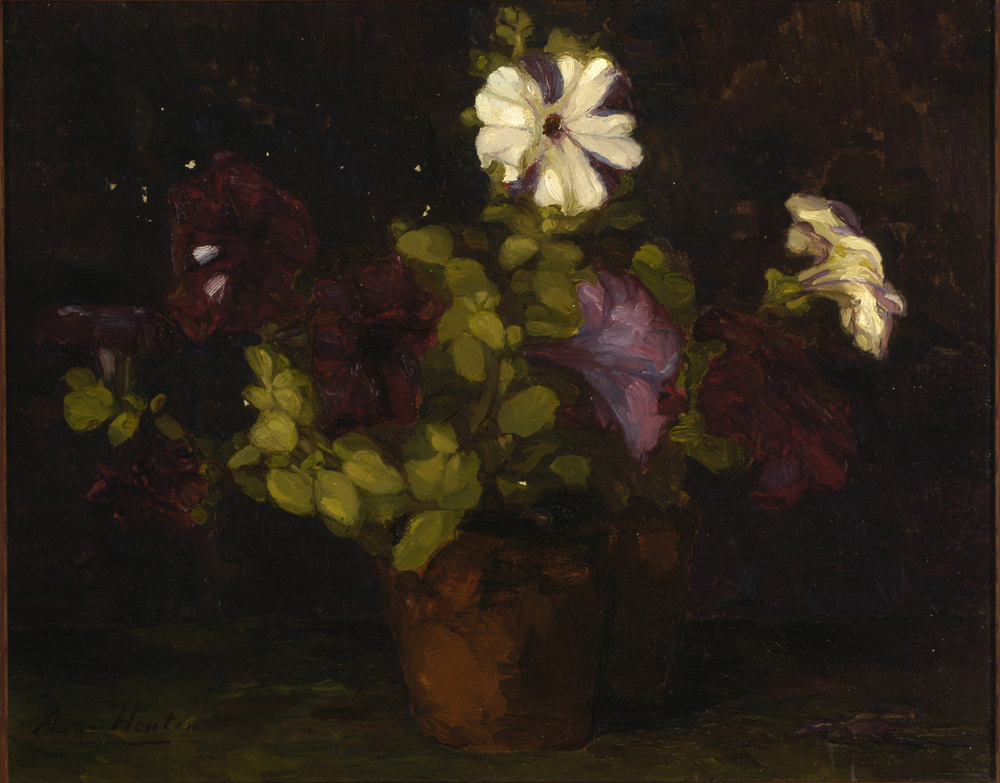 bloemstilleven: petunia's