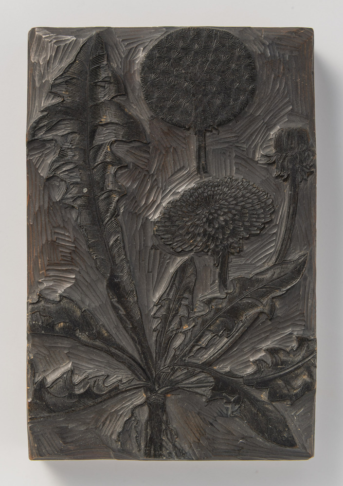 Houtblok en afdruk van natuurmotieven