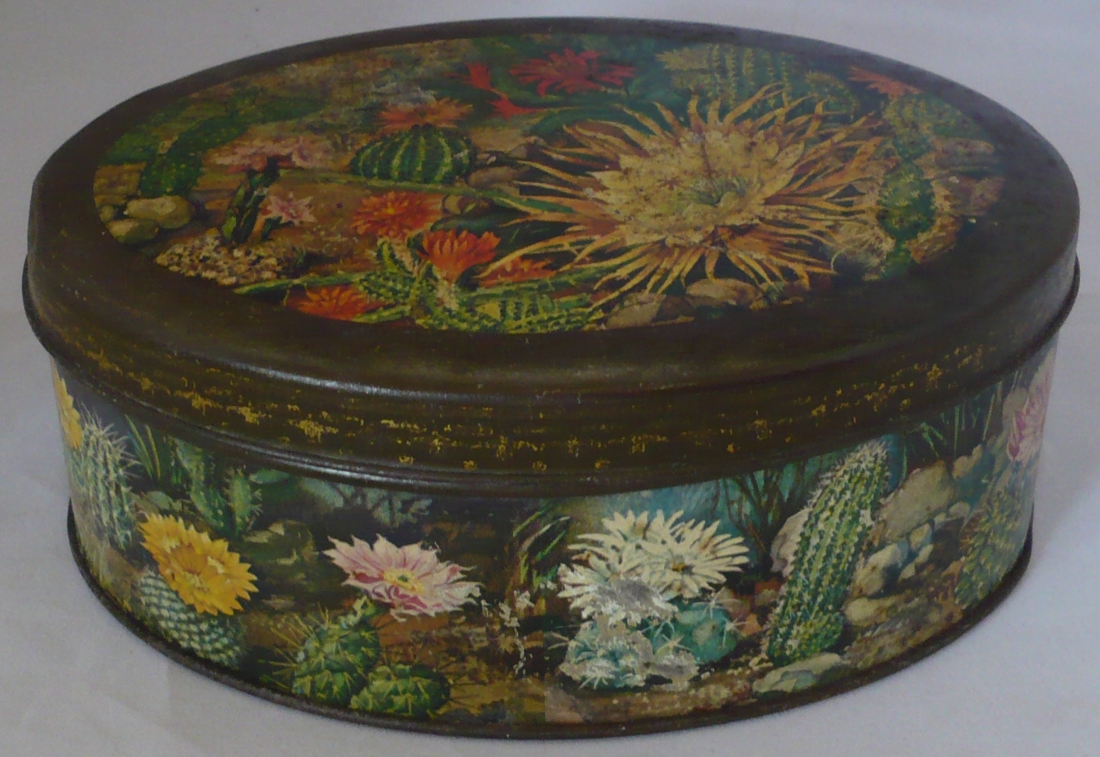 Bonbonblik 'Cactussen' van Albert Heijn