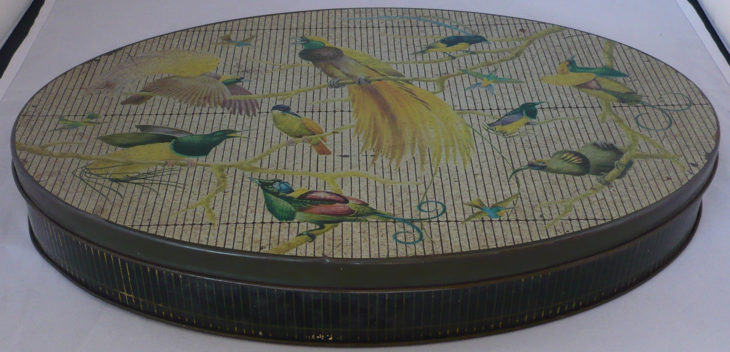 Côte d'Or Bonbonblik Tropische vogels