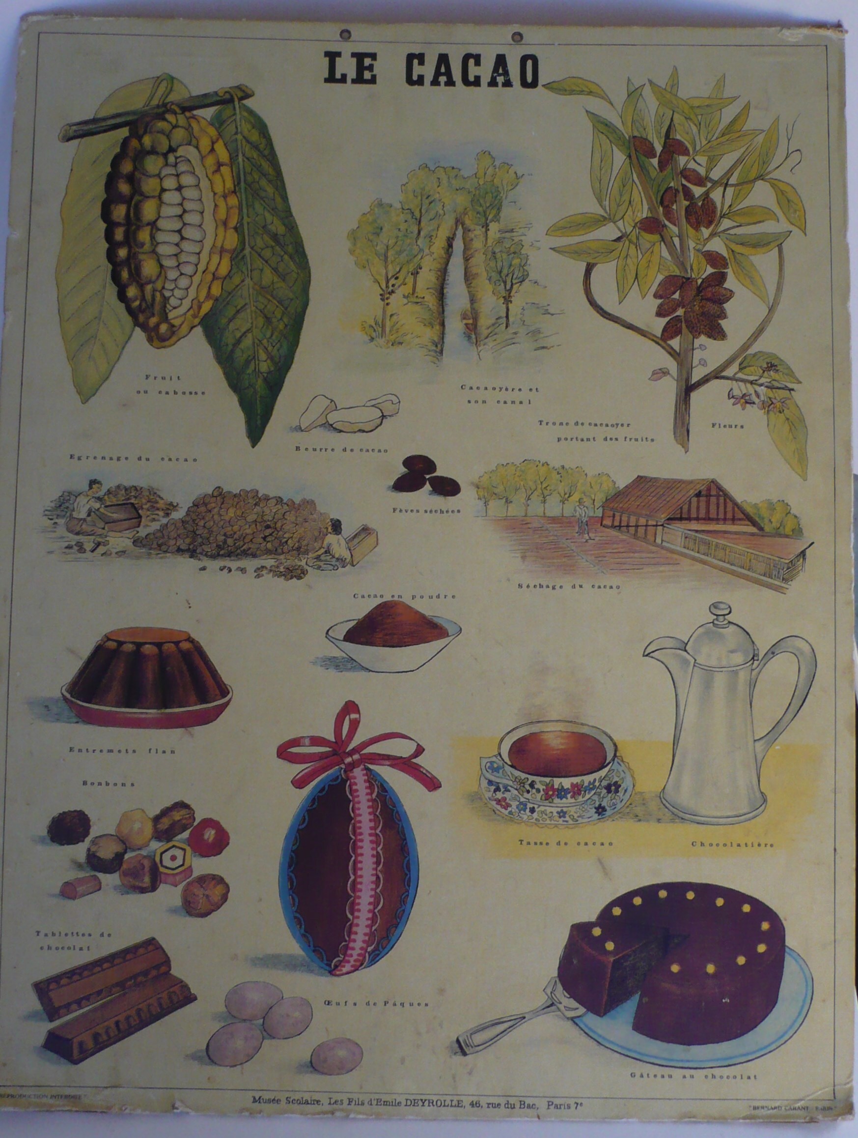 C'ôte d'Or Schoolplaat  'Le Cacao'