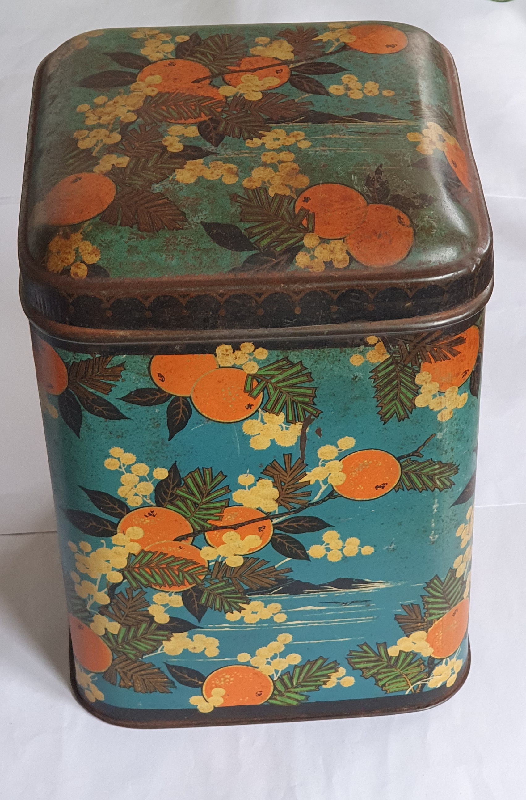 Decoratief voorraadblik met mandarijnen