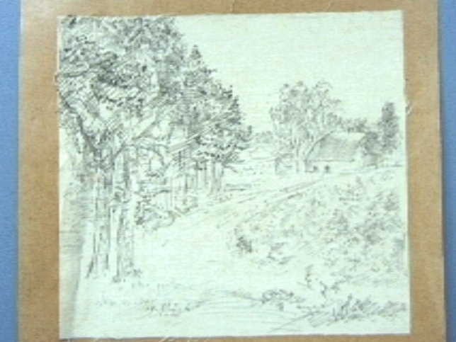 Landweg met boerderij.