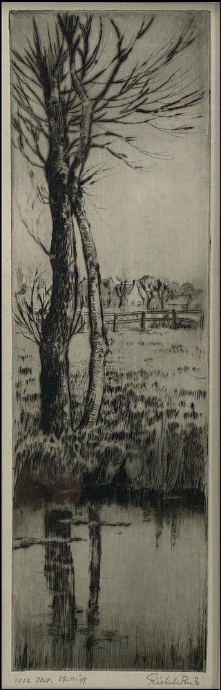 Twee bomen aan de waterkant