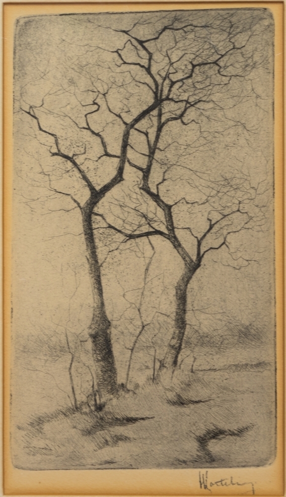 Wilgen in landschap.