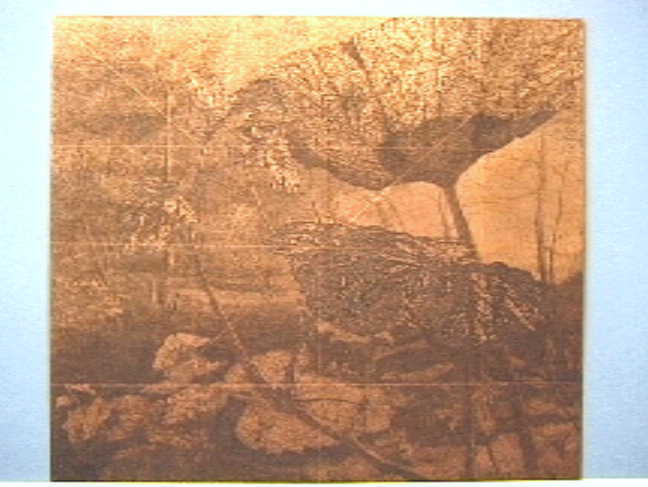 Koperen etsplaat met Kalebas.