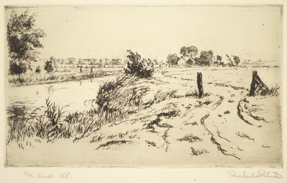 Aan de oude Ae (tussen Winsum en Onderdendam)