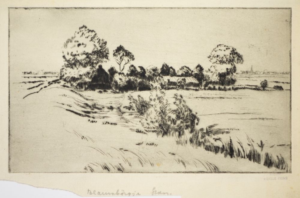 Reitdiep (Blauw Börgje)