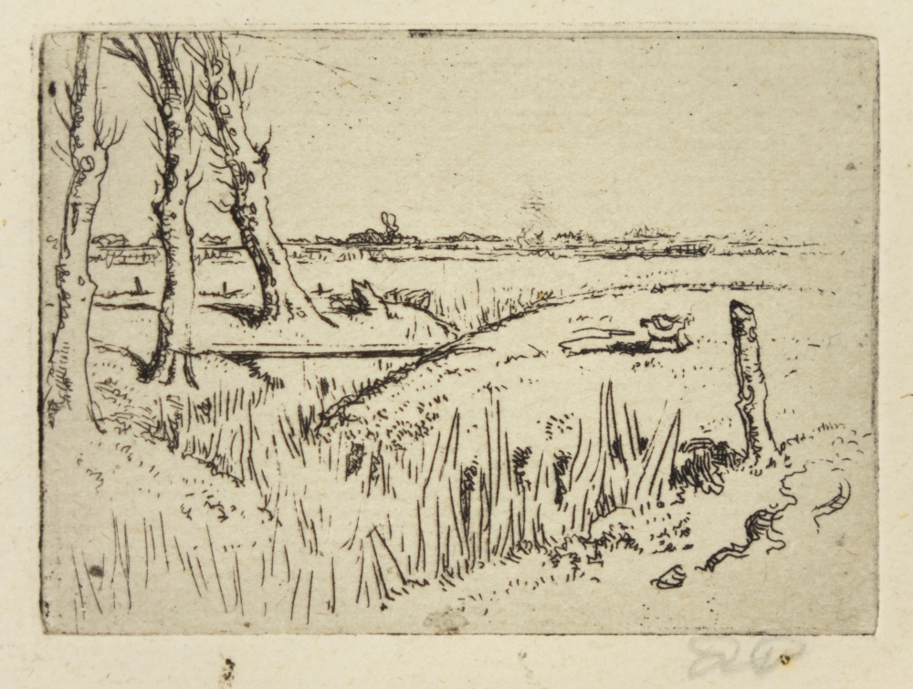 Landschap bij Bedum
