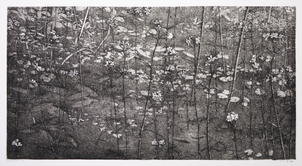 Bloeiende sloot (waterviolier)