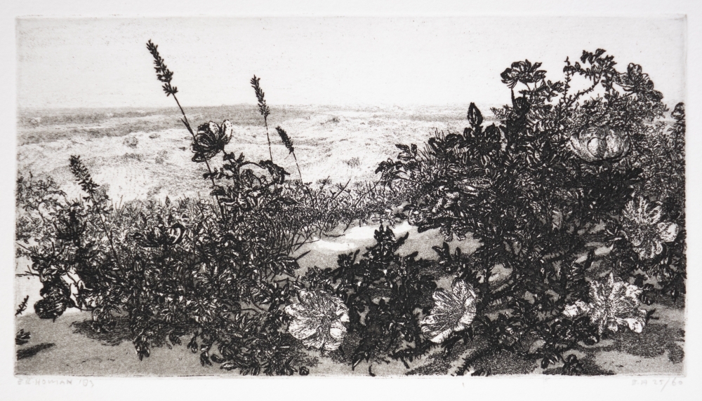 De Slufter Muy, Texel