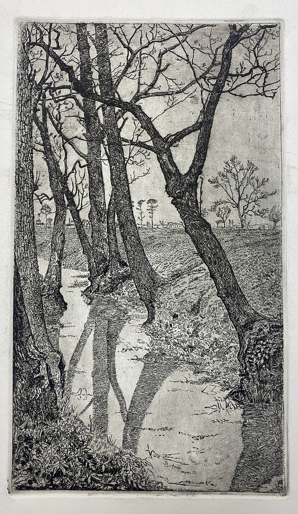 Sloot langs bos Fraeylemaborg