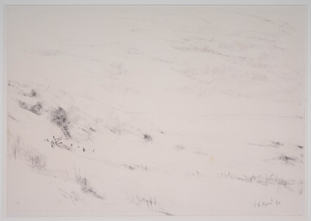 Duinlandschap Vlieland.