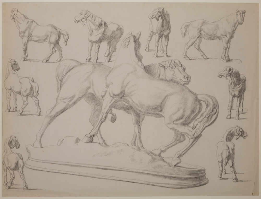 Studies van paarden.