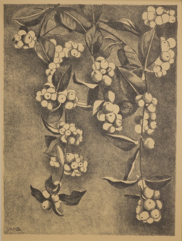 Takjes van de sneeuwbes (symhoricarpos).