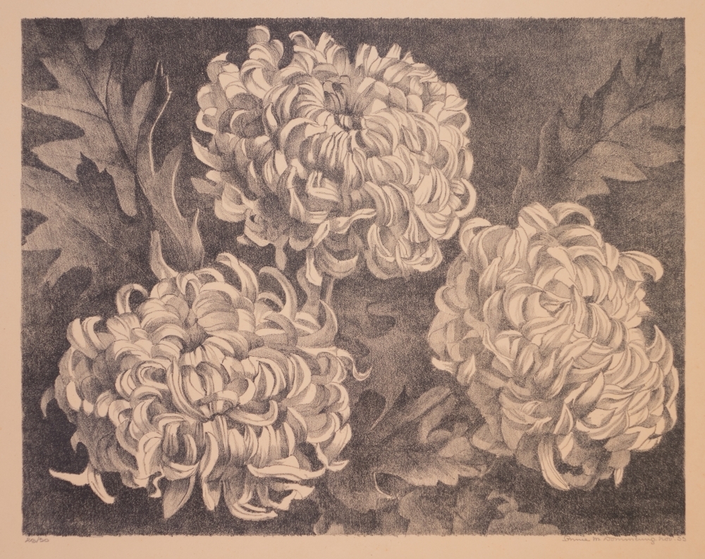 Chrysanthen.