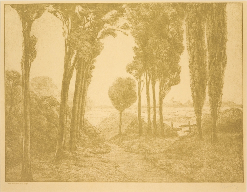 Bomen langs slootje.