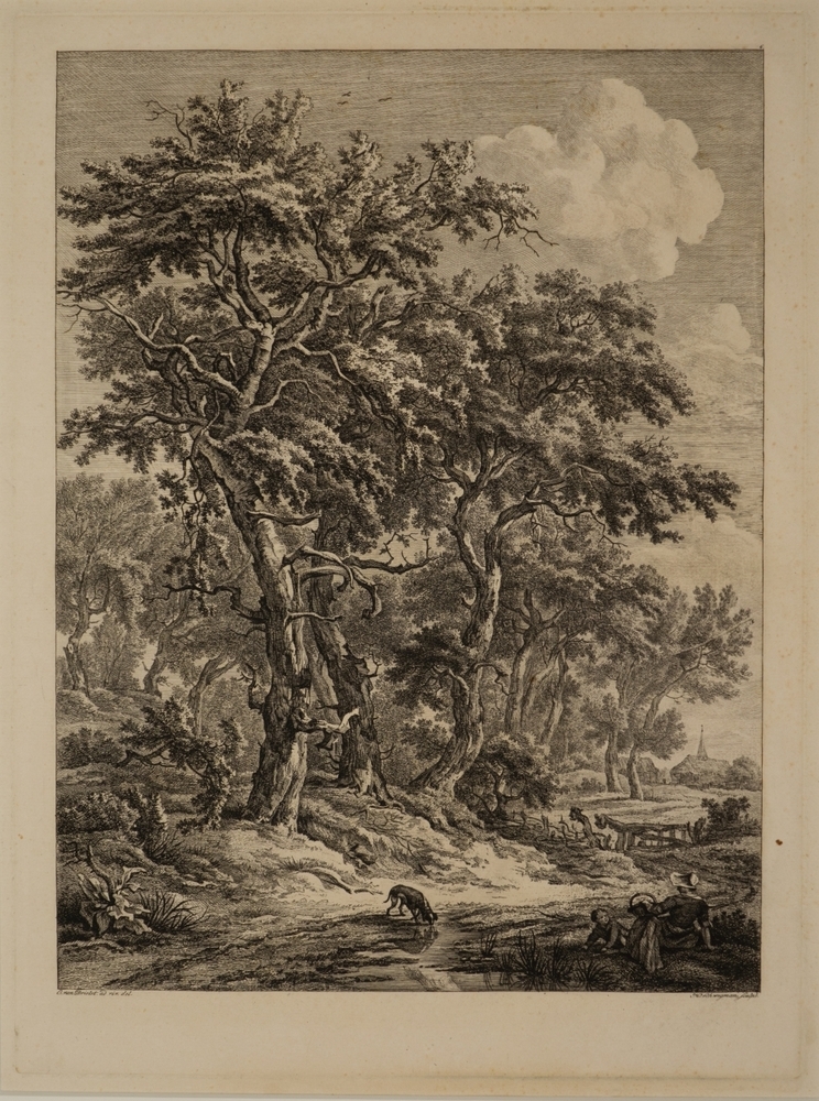 Landschap in Drenthe.