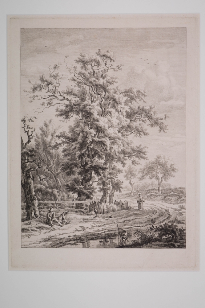 Landschap in Drenthe.