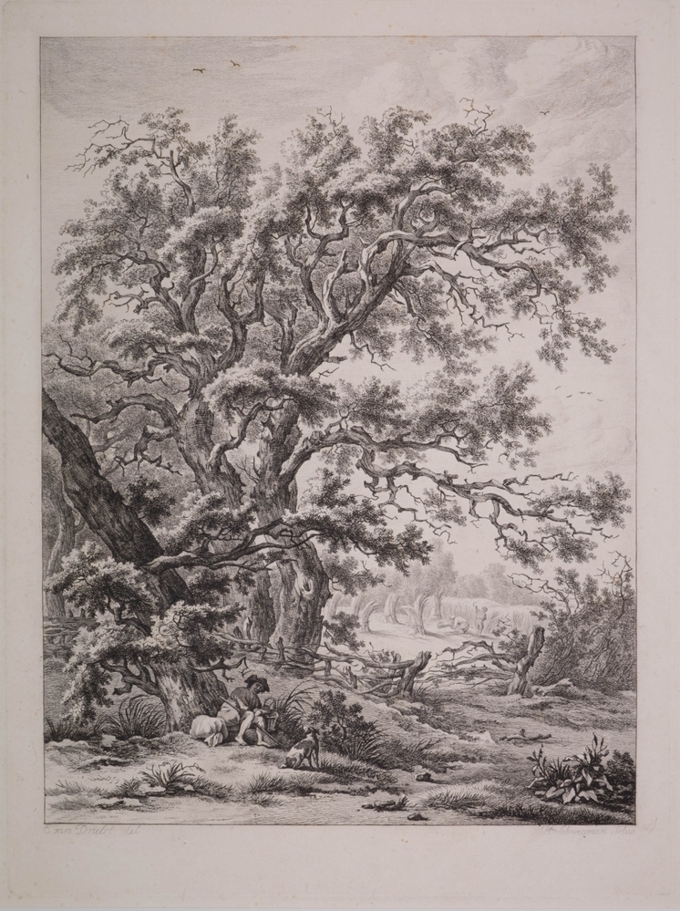 Landschap in Drenthe.