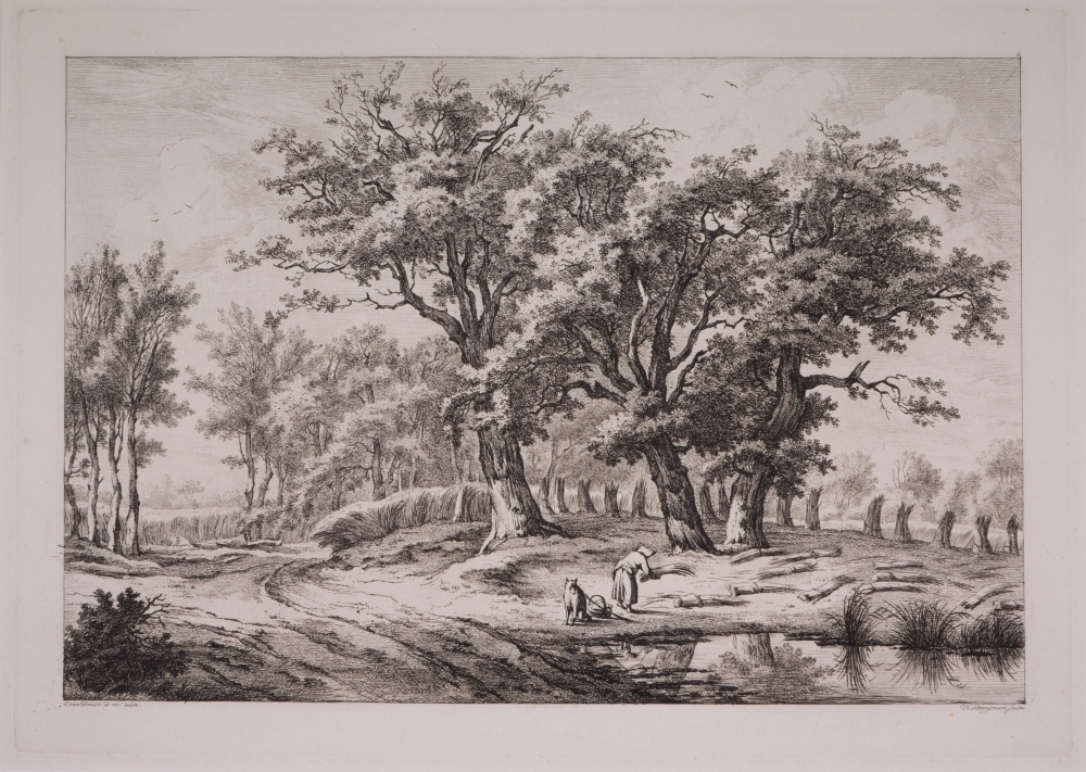 Landschap in Drenthe.