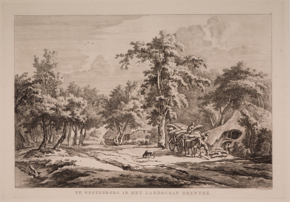 Te Westerborg in het landschap Drenthe.