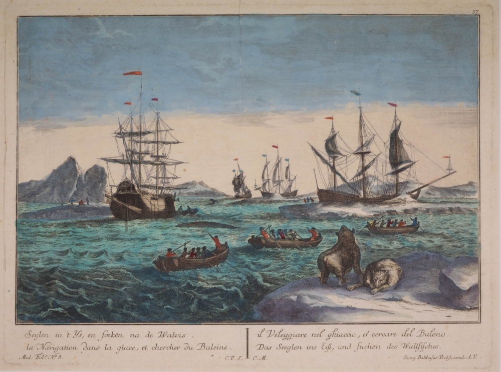 "Seylen in `t ys, en soeken na de Walvis".