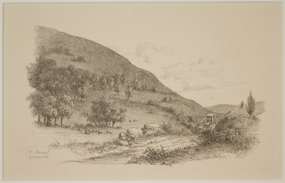 Landschap met heuvelrug.