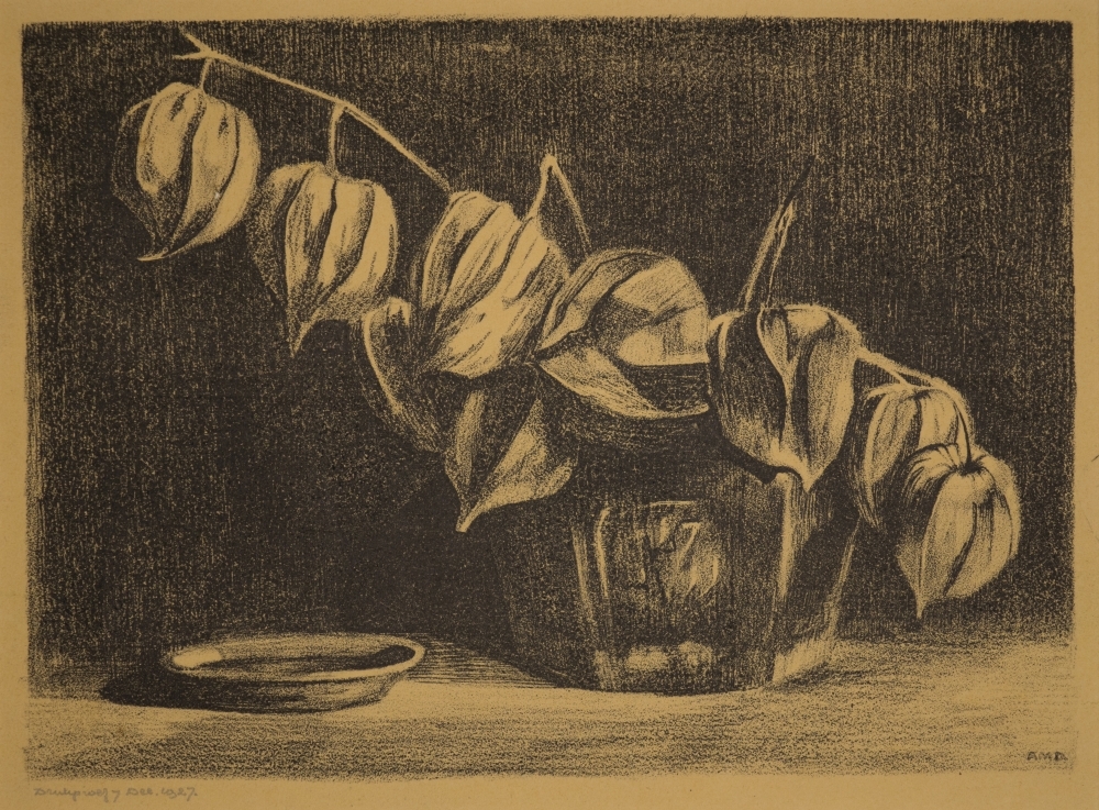 Chinese lampionplant in pot met schaaltje.