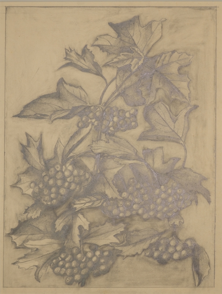 Tak met bessen van de Viburnum (Gelderse Roos).