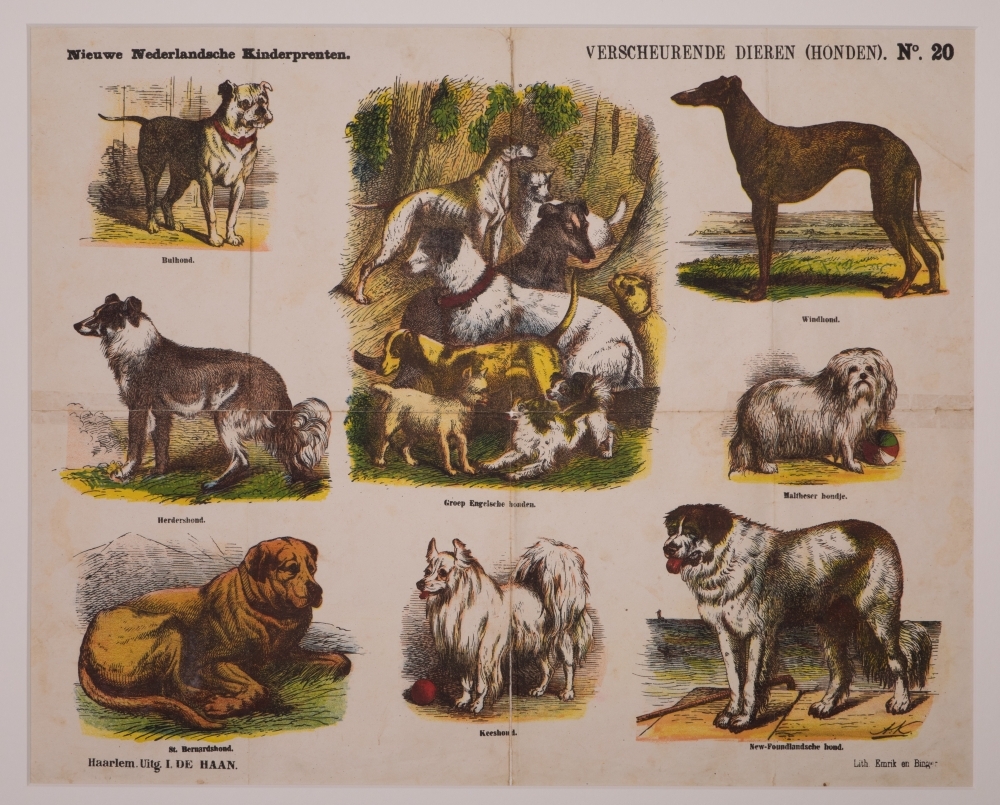 VERSCHEURENDE DIEREN (HONDEN). No. 20.