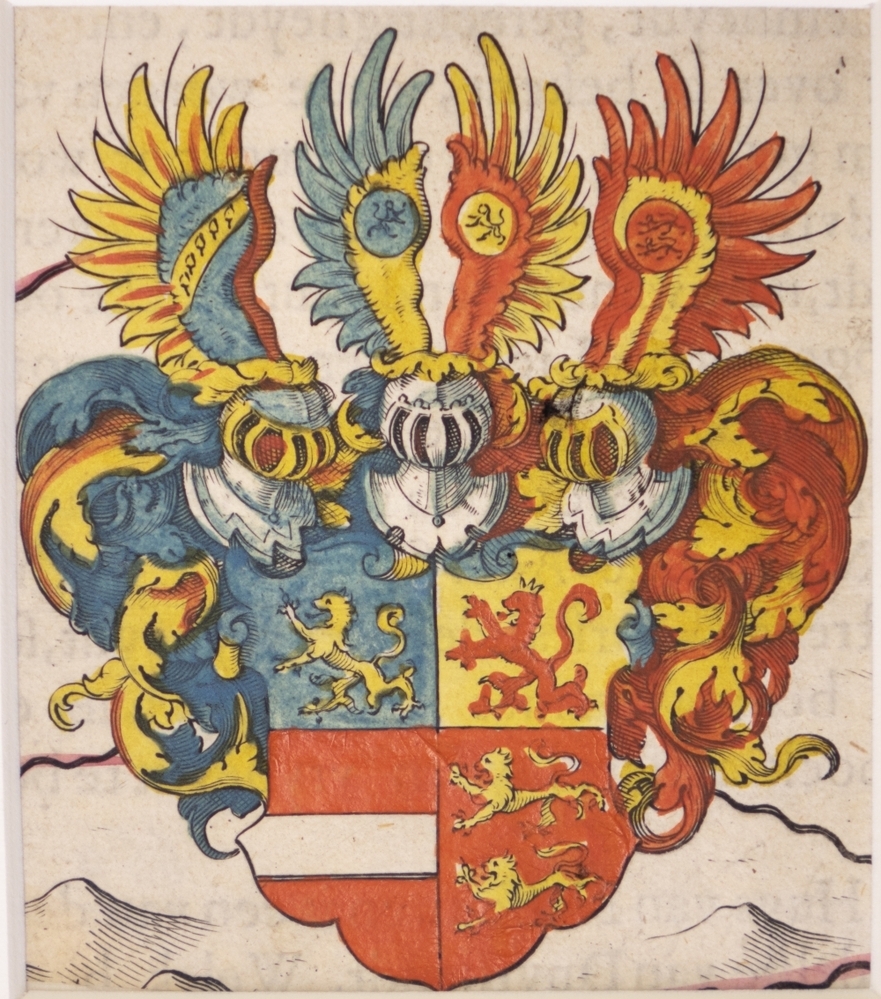 wapens: Wapen van Willem de Rijke.