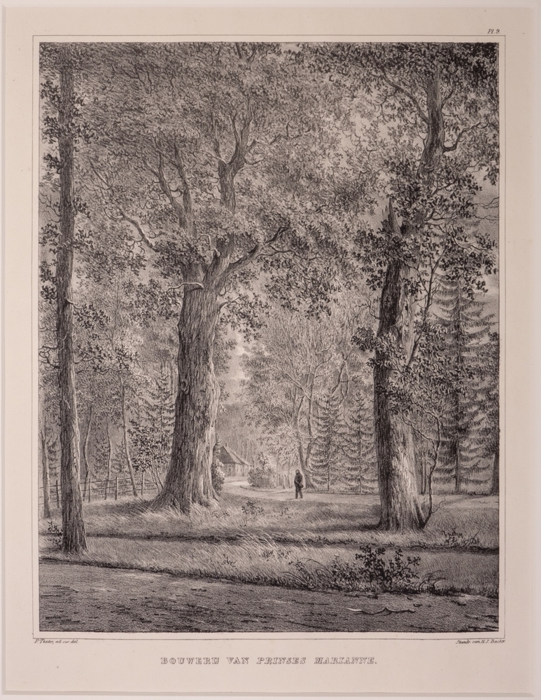 topografie: "BOUWERIJ VAN PRINSES MARIANNE." Litho uit een serie van 12 , gezichten in het park Het Loo.