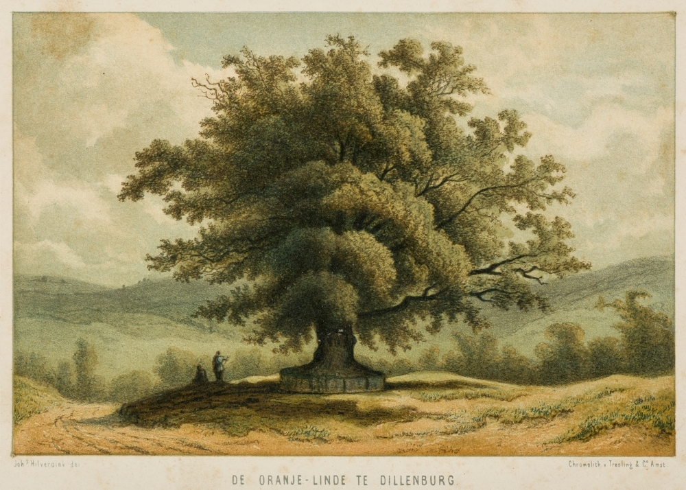 topografie: "DE ORANJE-LINDE TE DILLENBURG."
