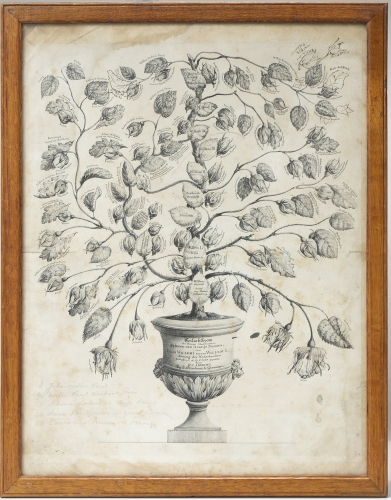 Geslachtsboom van prins Willem I tot koning Willem I Achter glas in smalle houten lijst. Slecht.