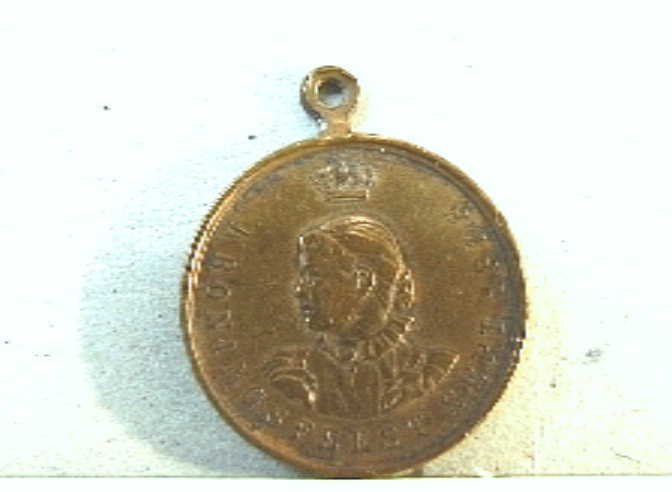 Penning met busteportret naar links van koningin Wilhelmina, en randschrift.