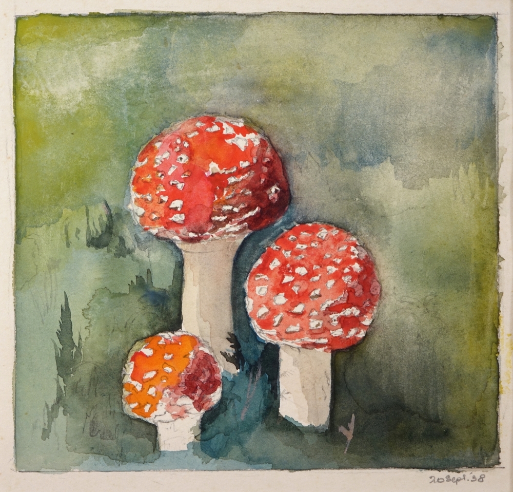Paddestoelen.