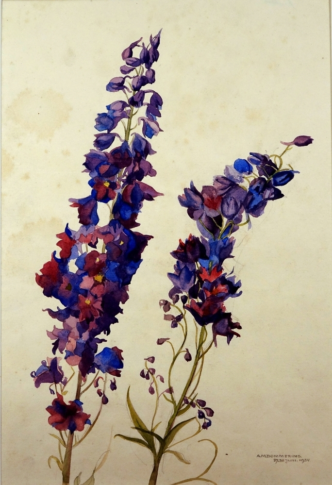 Bloemen (Ridderspoor?).