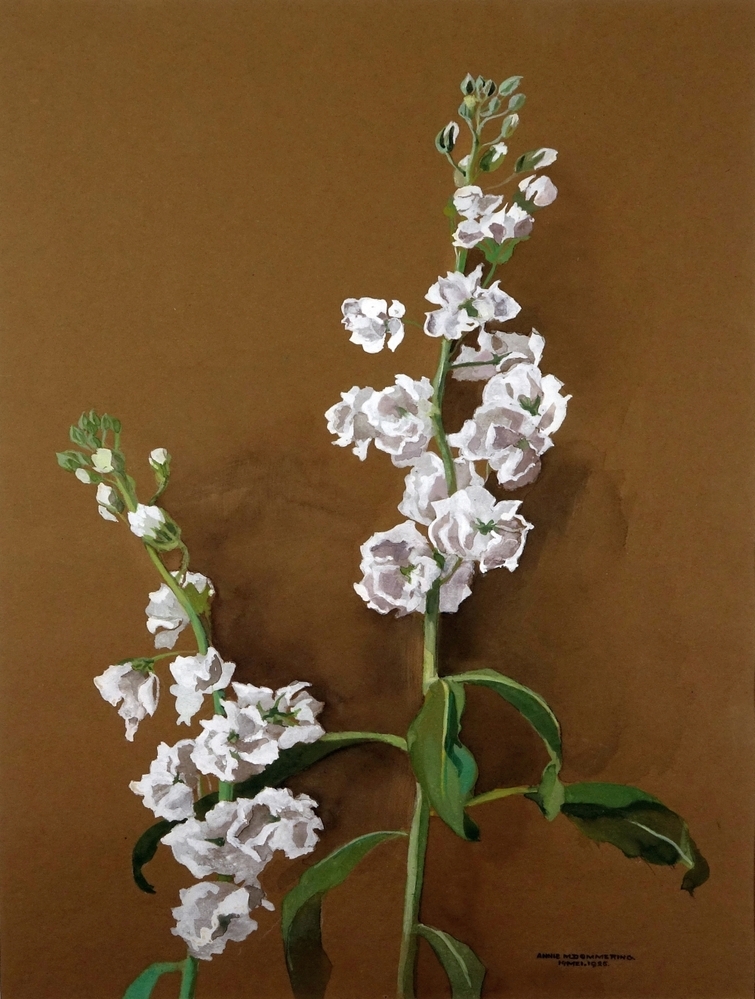 Bloemtak (Campanula?)