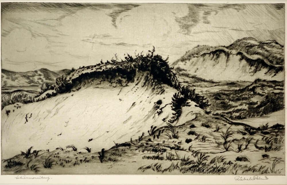 Duinen op Schiermonnikoog.