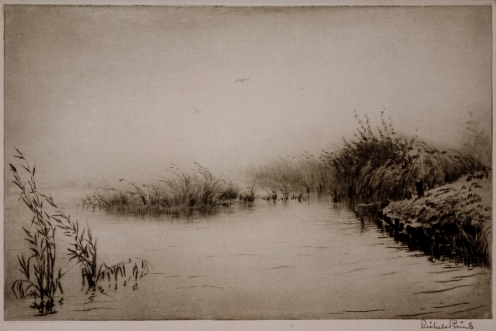 Mistige morgen op de Leijen.