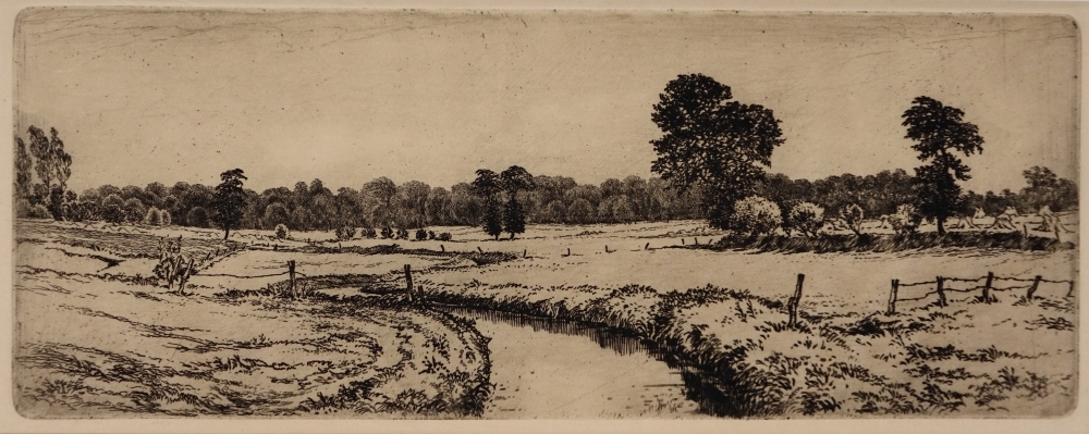 De Ruiten A in Westerwolde.