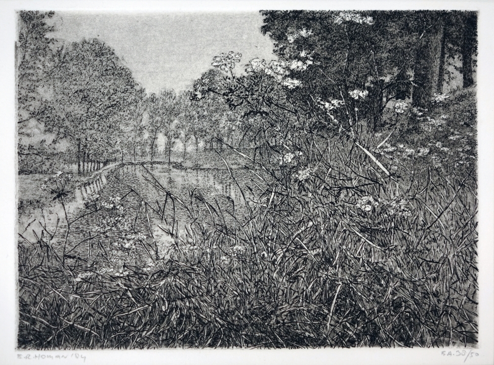 Landschap met bomen.