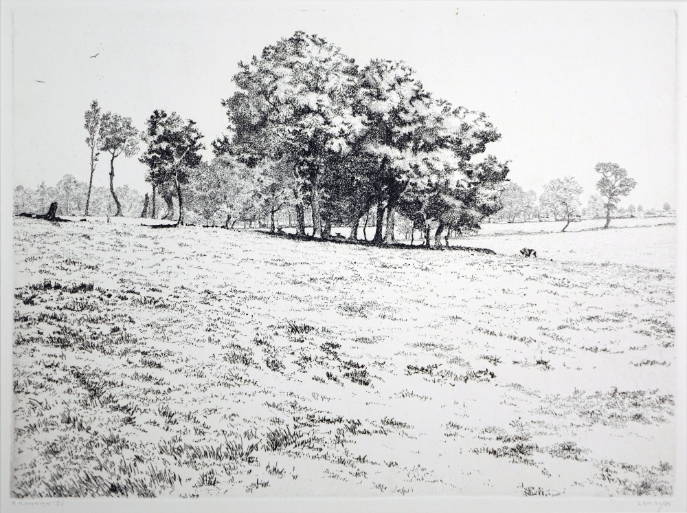 Eiken in een beekdal  (Anloo).