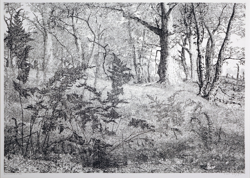 Bosrand bij het Mantinger Zand.