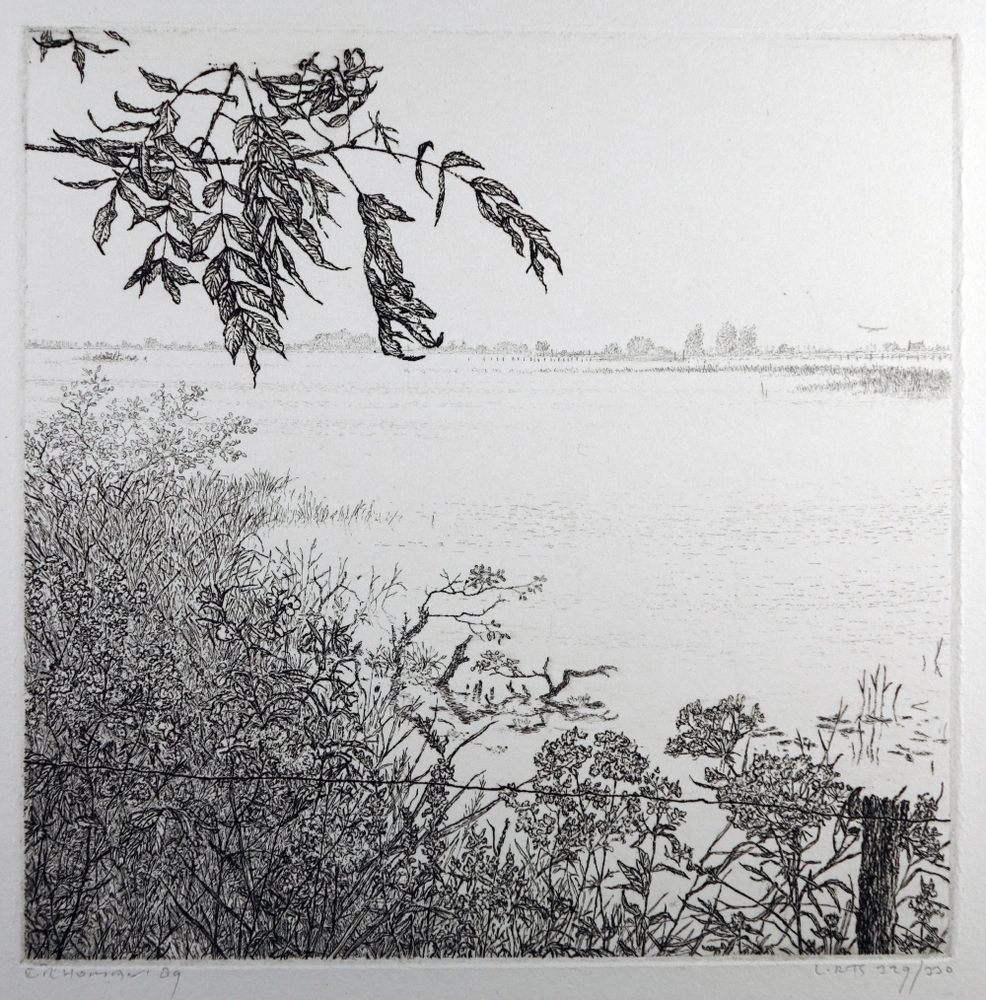 Landschap met slootje in Drenthe.