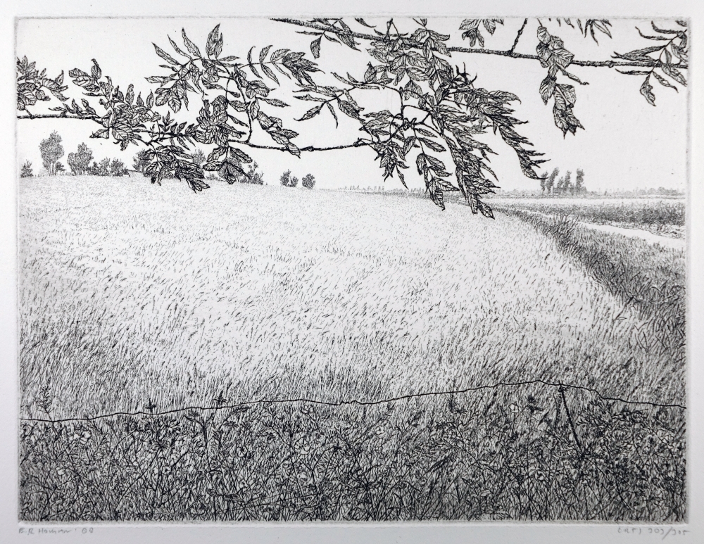 Landschap in Groningen.