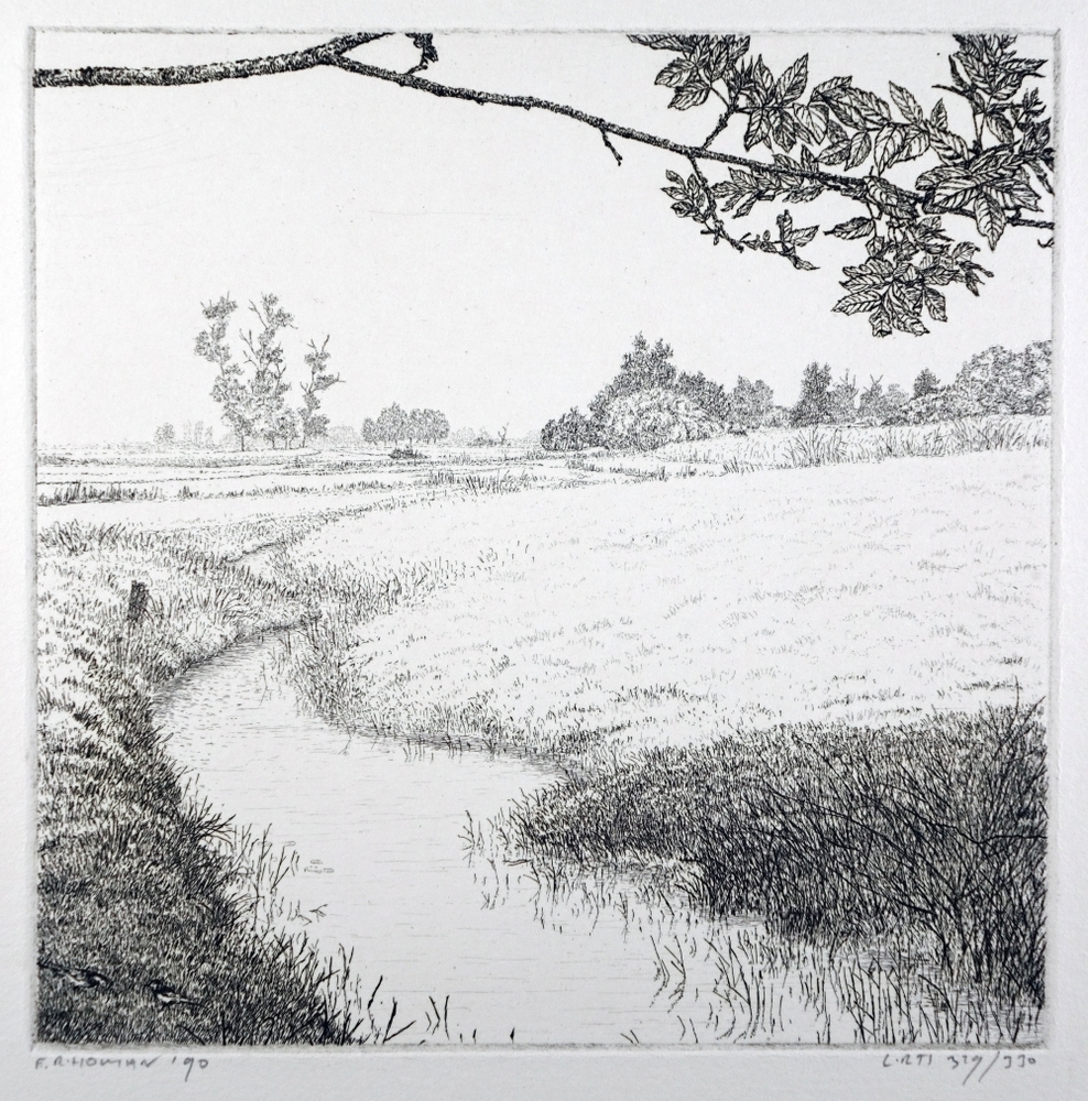 Meeroever in Friesland.