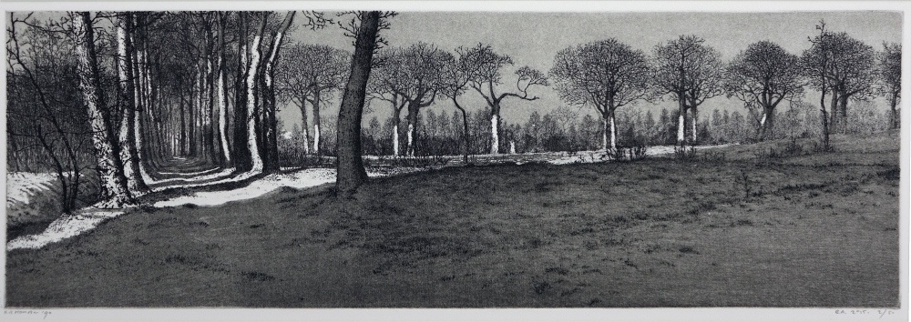 Eikenlaan Fogelsanghstate Veenklooster.